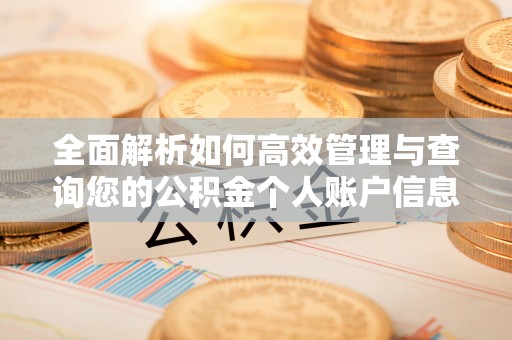 蓟县全面解析如何高效管理与查询您的公积金个人账户信息