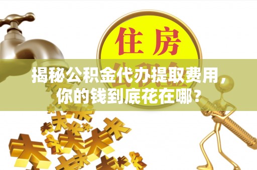 蓟县揭秘公积金代办提取费用，你的钱到底花在哪？