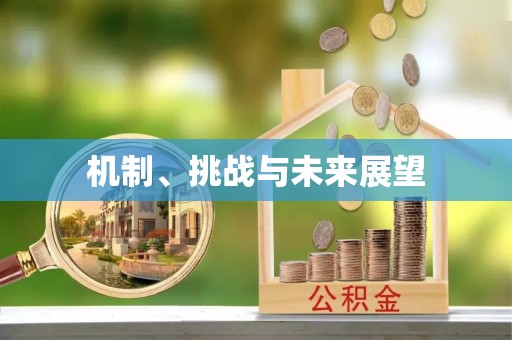 蓟县机制、挑战与未来展望